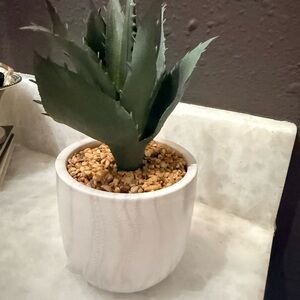 Artificial Succulent in White Planter